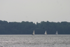 IMG_8906